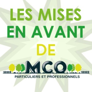mise en avant MCO carreÌ mise en avant MCO carreÌ